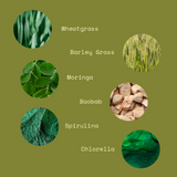 Daily Greens Superfood Powder