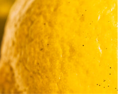 Lemon*